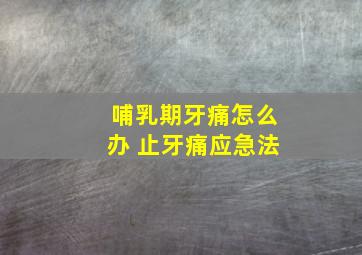 哺乳期牙痛怎么办 止牙痛应急法